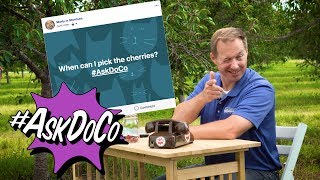 #AskDoCo - When Can I Pick The Cherries - Visit Door County, Wisconsin
