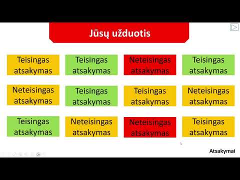 Interaktyvus šablonas (Nr. 008)