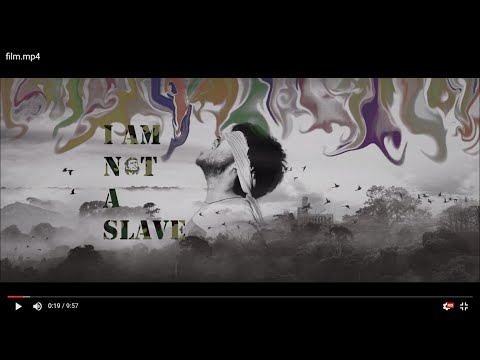 I am not a slave