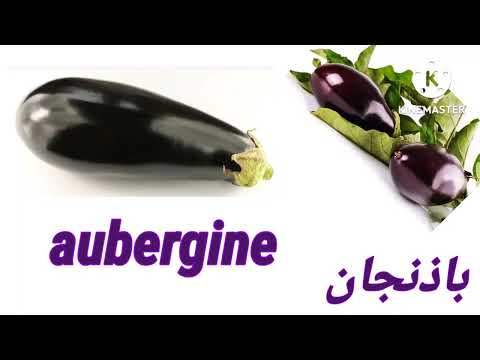 درس جديد الخضار Les légumes  @Français facile avec nisrine ❤️❤️