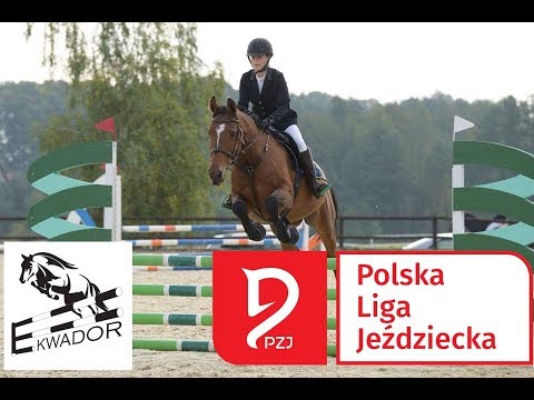 Finał Rundy Złotej - Polska Liga Jeździecka / Dąbrówka Mała - Ekwador [28.07.2019]
