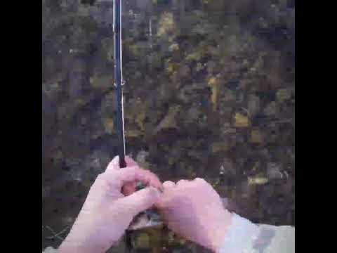 Fly fishing on river Zeta - Niksic, Montenegro.