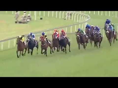 2015.02.28 Wilgerbosdrift Gauteng Fillies’ Guineas (RSA) - Siren's Call