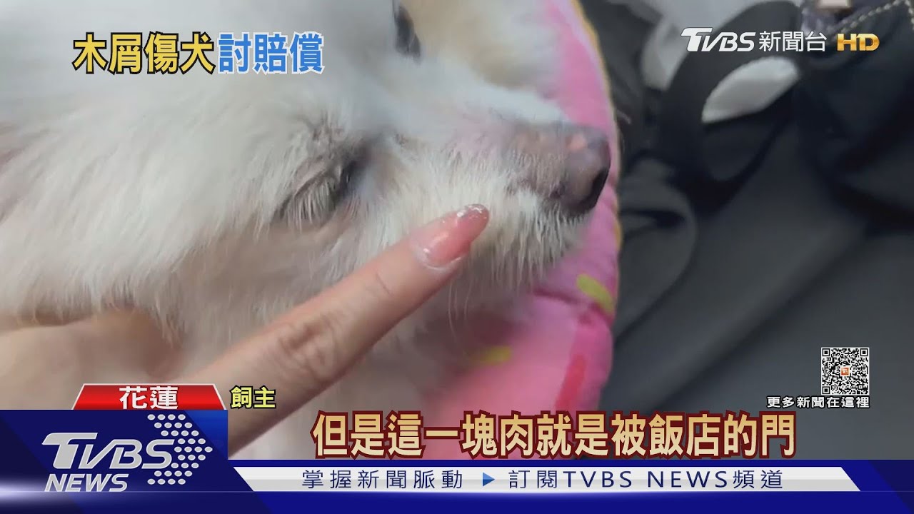 入住寵物友善飯店 愛犬「遭門刮傷流血」