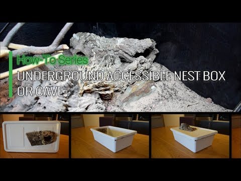 How To :: Underground Accessible Nest Box or Cave
