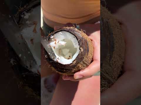 The GiRL survives on the island #camping #survival #bushcraft #outdoors #coffee