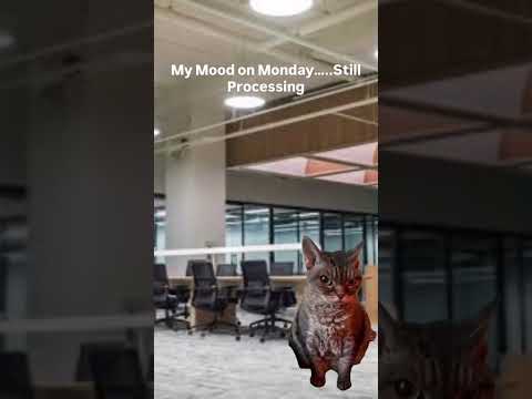 Still processing #officelife #corporate #officeday #corporategirl #struggle #viral