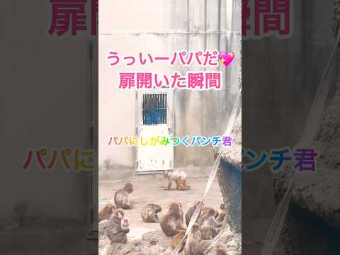 【最新】2026年4月24日15時 パパ待ってたよ‼️🐵
