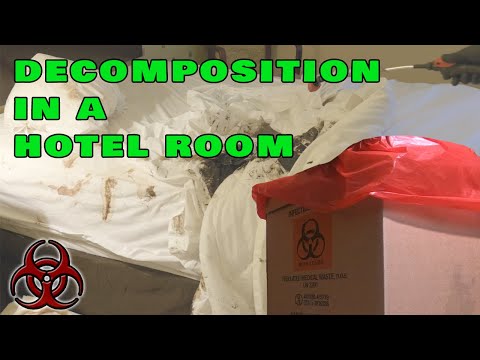Decomposition in Hotel (Dead for Three Weeks)