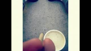 Collie budz Iamsu! x berner -wake and bake