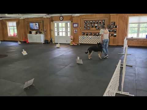 Rally Nov #5 Icky and Sharyn