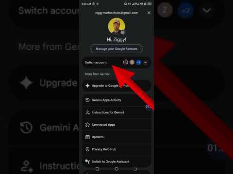 how to login to gemini Pro