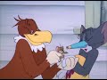 Tom And Jerry Cartoon Episode 21 Flirty Birdy 1945 Funny Animals Cartoons For Kids