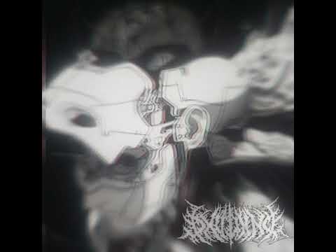 DXVDXND  - Cyberbrain