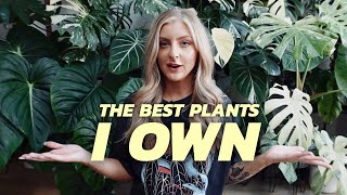 The best plants I own! (In my opinion)
