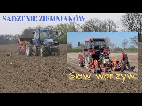 , title : 'Sadzenie ziemniaków i siew warzyw. Jakie prognozy na sezon 2019?'