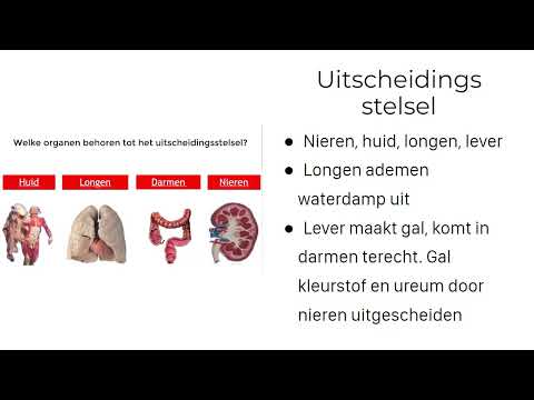 5H - Nectar - H13 - Gaswisseling en uitscheiding