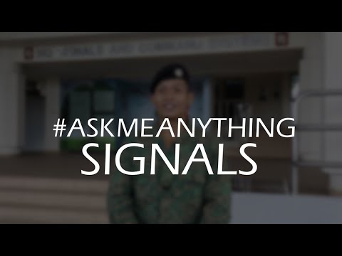 The Msog Inside Signals