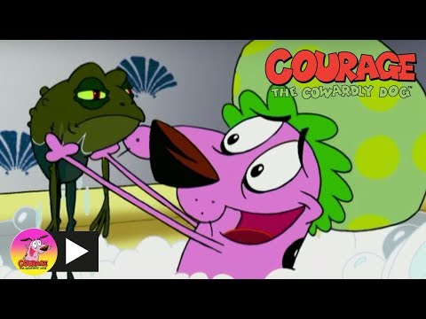 Courage the Cowardly Dog | Too Many Frogs | Cartoon Network