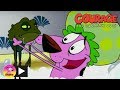 Courage the Cowardly Dog | Too Many Frogs | Cartoon Network