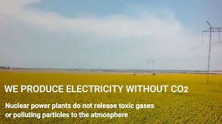 Some values of nuclear power