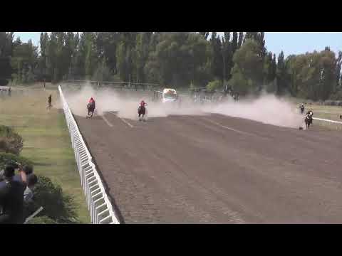 BELTRAN    8°  ARMAS FINOLA   26-2-23