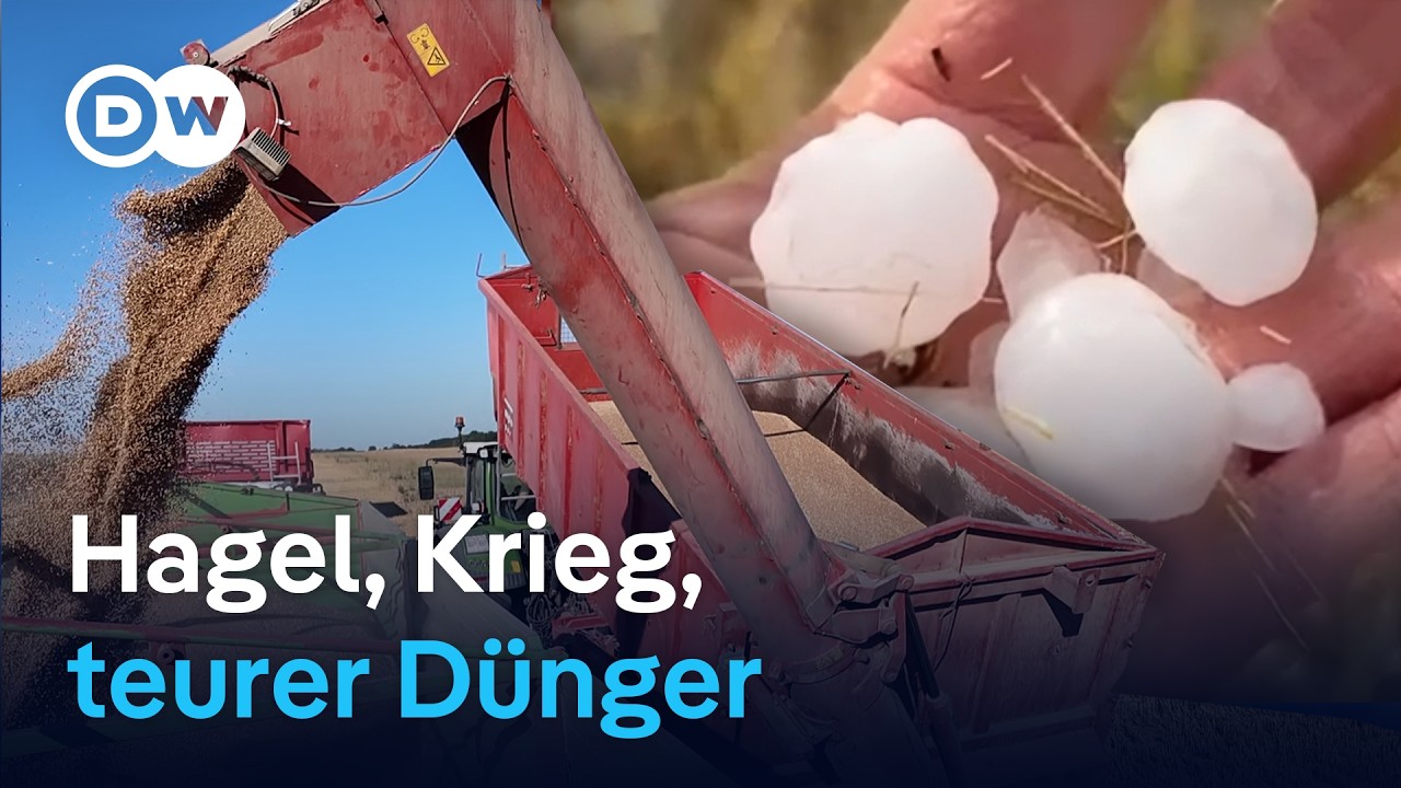 Bauern in Sorgen: Extremwetter und Krieg in der Ukraine