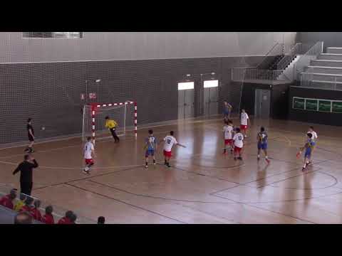 cesa 2019  Asturias Castilla la Mancha infantil masculino balonmano