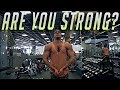 ARE YOU STRONG | 255lbs On Presses | Squat Depth and ROM