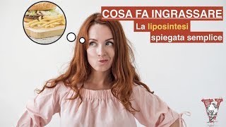 Cosa fa ingrassare: la liposintesi spiegata semplice