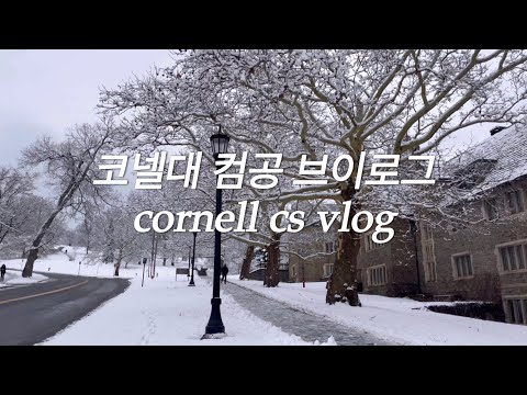 Cornell Cs 2110