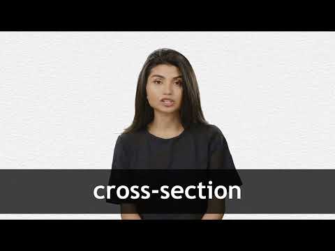 How to pronounce CROSS-SECTION in American English