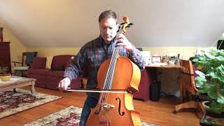 Spootiskerry on cello