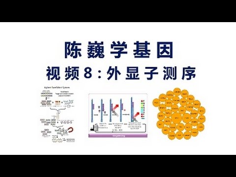 【陈巍学基因】视频8：外显子测序