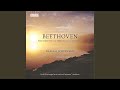 Piano Sonata No. 22 in F Major, Op. 54: II. Allegretto - Piu allegro