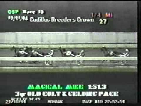1994 Breeders Crown 3yo C&G Pace Magical Mike