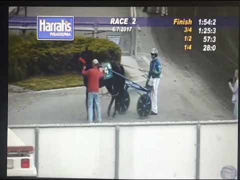 WELL OF FIRE 🔥 Harness Race Win 🏆 6-7-2017 Standardbred Stallion Standing Stud at Hot Rod Horses