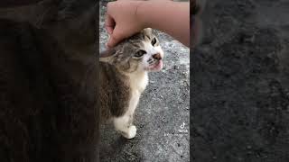 Is she pregnant or she’s just fat?