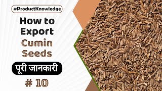 How to Export Cumin Seeds..?? | A to Z Knowledge | Best Product for new Exporter