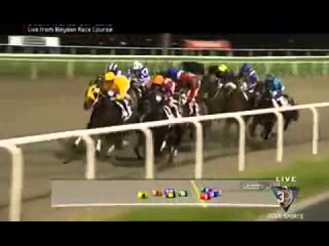 PriceHR    Singapore Race Horse   Rocket Man 10th Run Dubai World Cup   Golden Shaheen) 27 3 2010 Pj