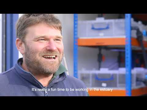 Tees Tidelands - An introduction