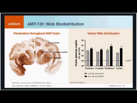 download lagu mp3 mp4 Uniqure, download lagu Uniqure gratis, unduh video klip Uniqure