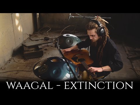Waagal - Extinction (Monad Bonus Track) || Handpan Percussive Fingerstyle Guitar One Man Band