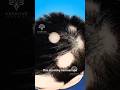 Why Am I Losing Hair In Patches Explain Alopecia Areata Short Viralvideo Creativelearning3d