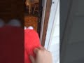 Kermit And Elmo Go Outside Part 6