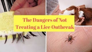 The Dangers of Not Treating a Lice Outbreak