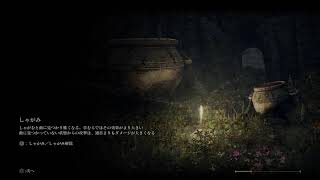 魔術を極めたいエルデンリング[032]