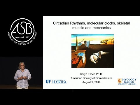 Esser - Circadian rhythms, molecular clocks, skeletal muscle and mechanics