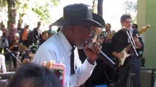 Jazz and Blues Festival Poços de Caldas   July 2013   Tail Dragger   Henry Gray   Bob Corritore