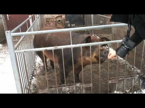 Iron Sky Signal E10 - Location Scouting in Germany pt. 1